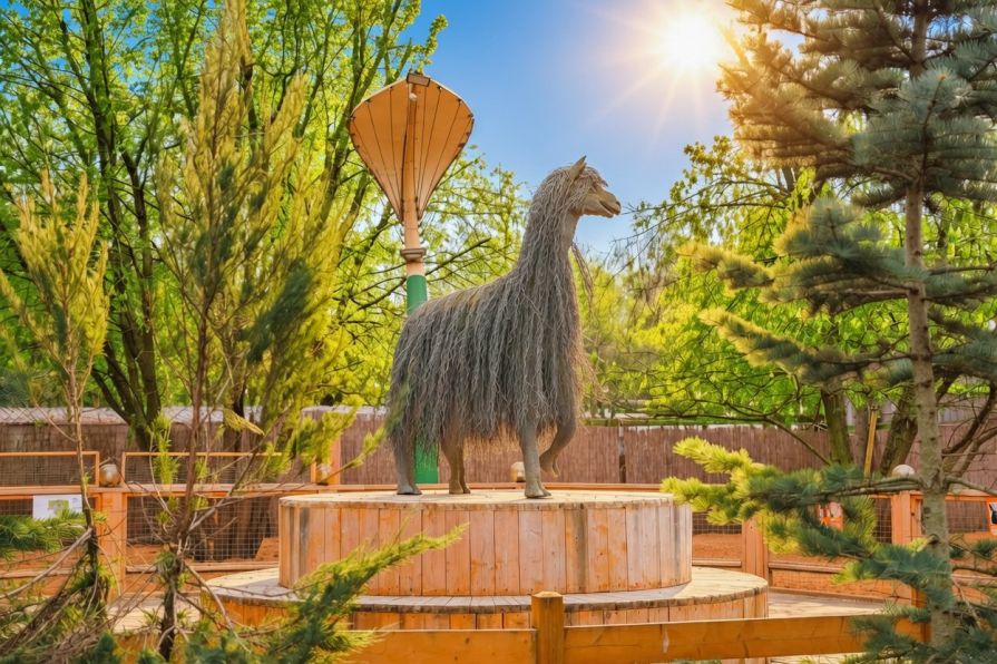 Альпака парк